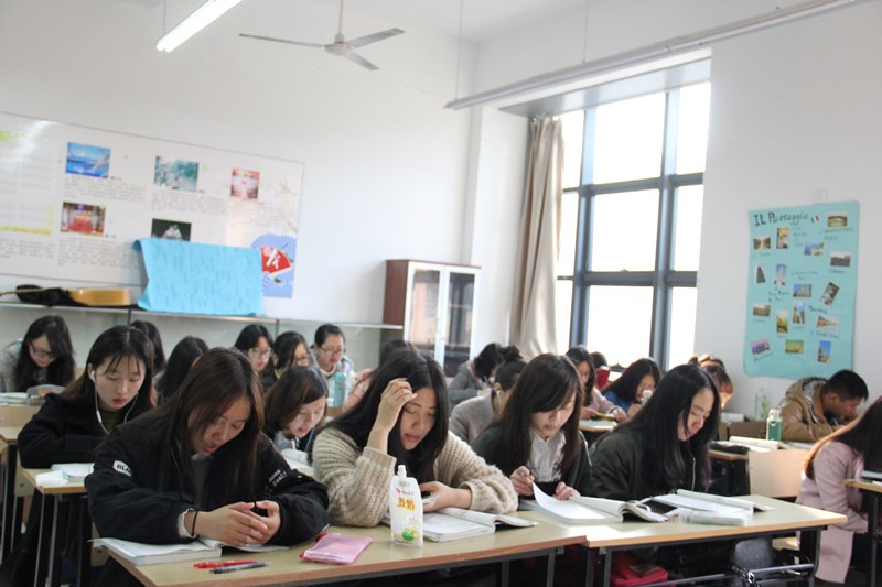 IMG_9447.JPG IMG_9447.JPG