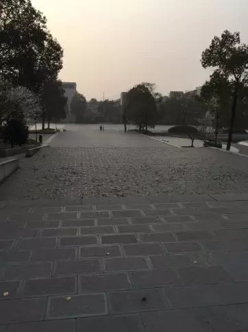 6402.webp.jpg 6402.webp.jpg